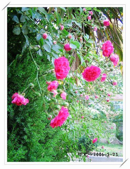 ��һ��������