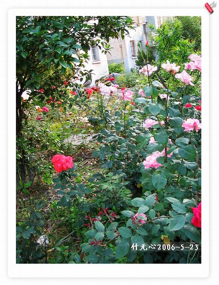 ��һ��������