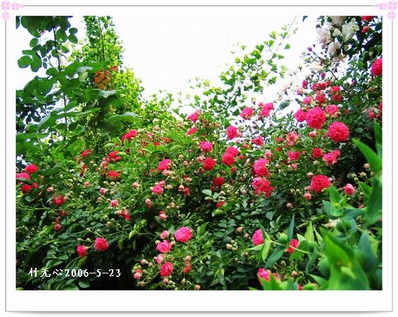 ��һ��������