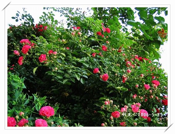 ��һ��������