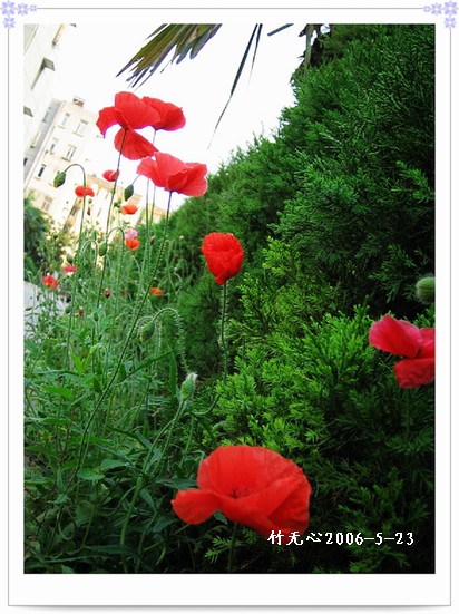 ��һ��������