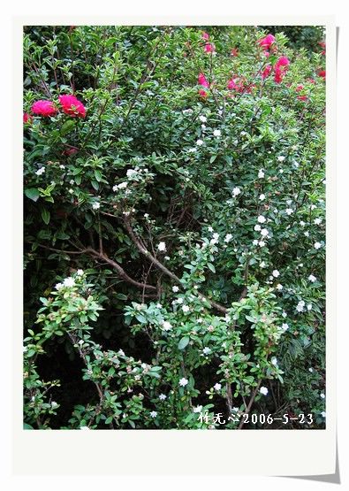 ��һ��������