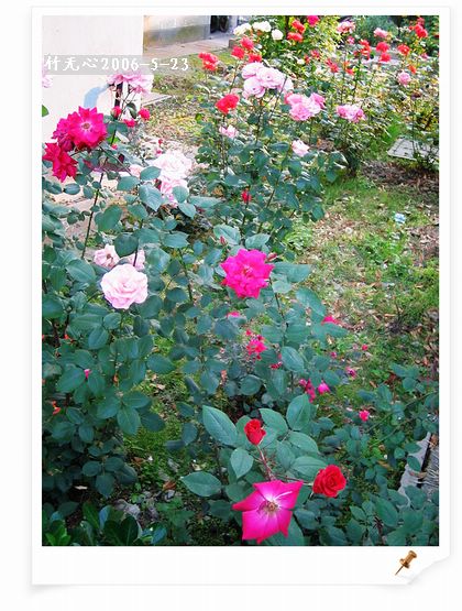 ��һ��������