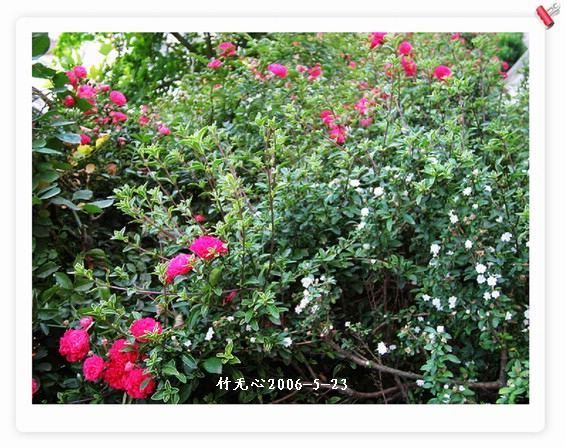 ��һ��������