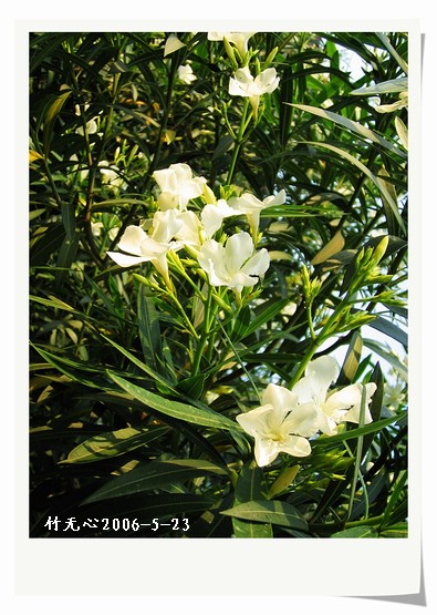 ��һ��������