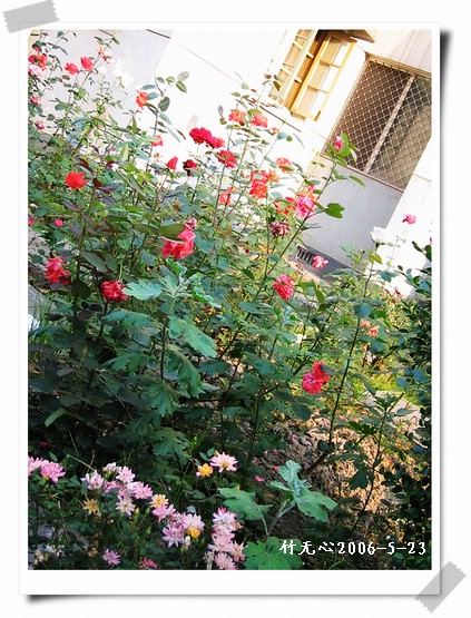 ��һ��������