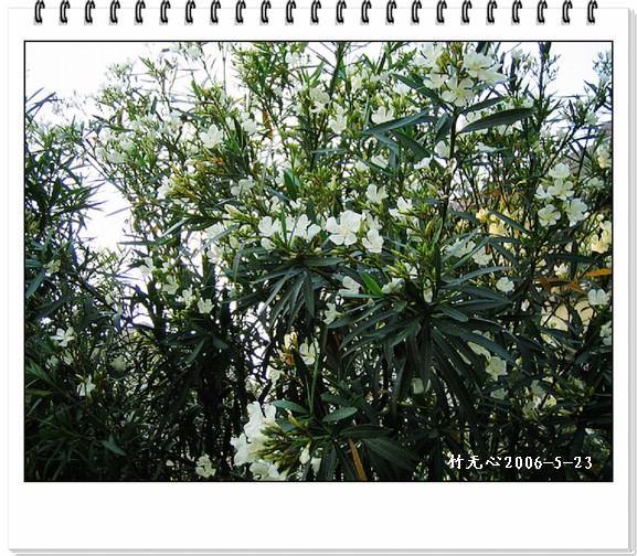 ��һ��������