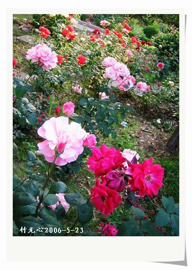 ��һ��������