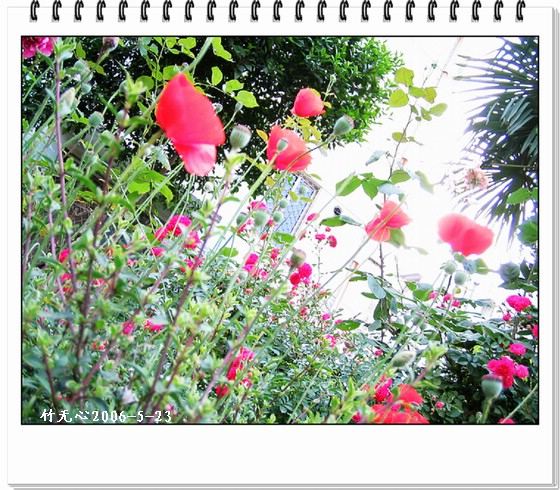 ��һ��������