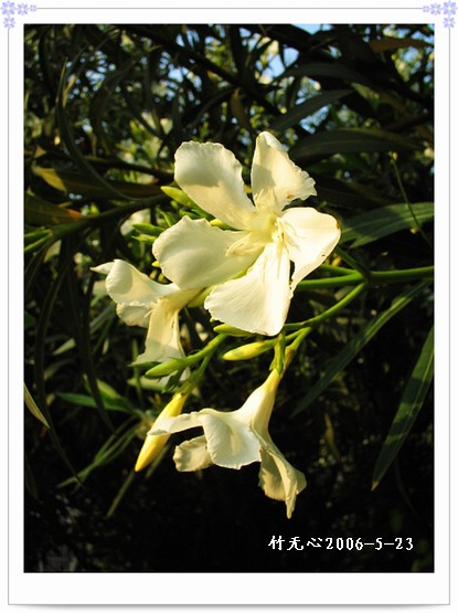 ��һ��������