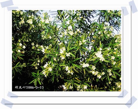 ��һ��������