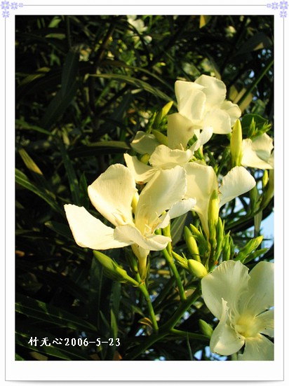 ��һ��������