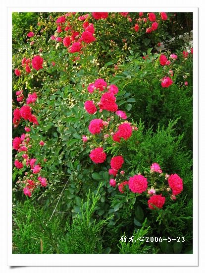 ��һ��������