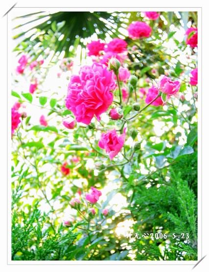 ��һ��������