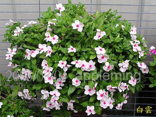 �Ҵ����մ����N����o�