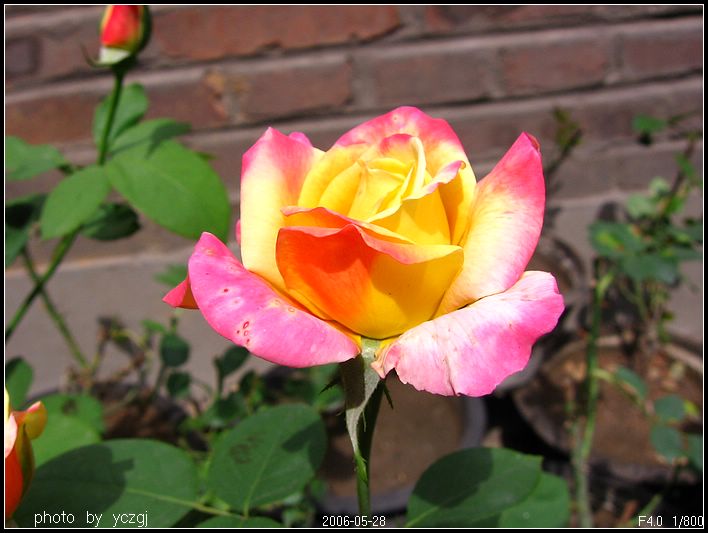 �¼�---------�ٹ⣡