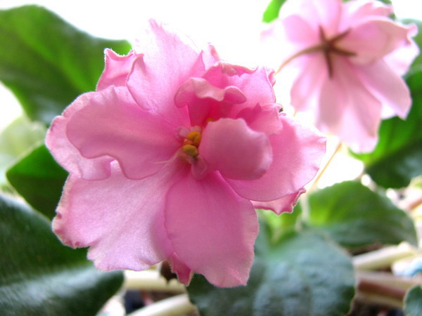 ���¼ҵ�������