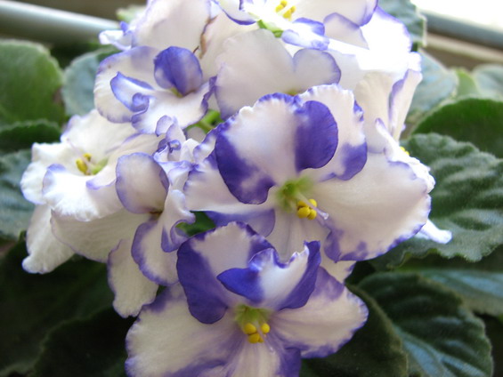 ���¼ҵ�������