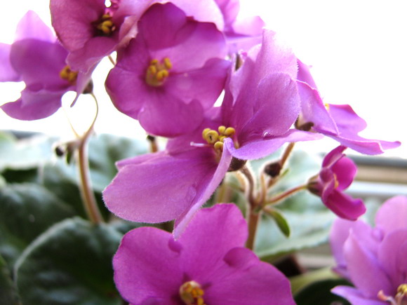 ���¼ҵ�������