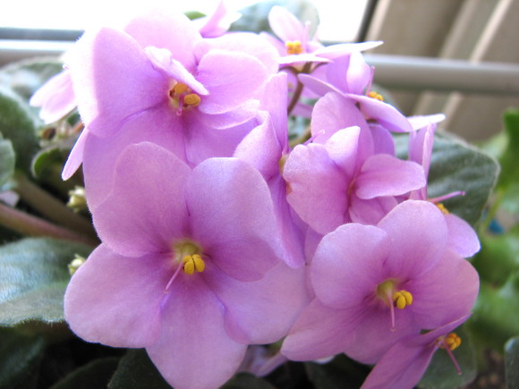 ���¼ҵ�������