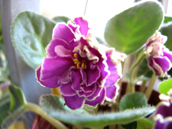 ���¼ҵ�������