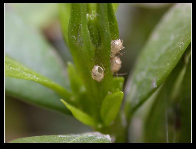 [����]����ʲô���ӣ�