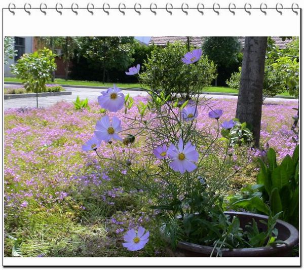 06��һЩ����--������