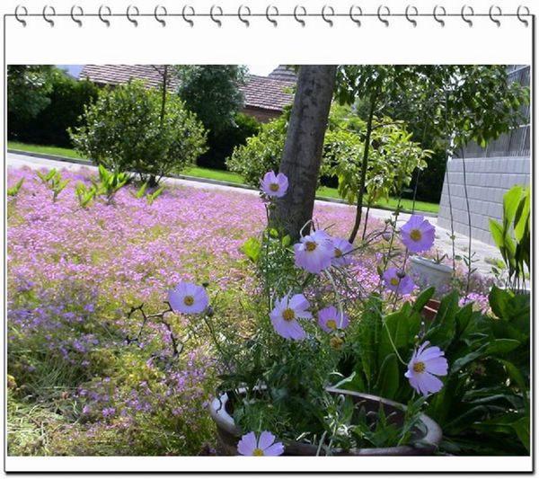 06��һЩ����--������