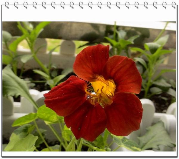 06��һЩ����--�۲�˹