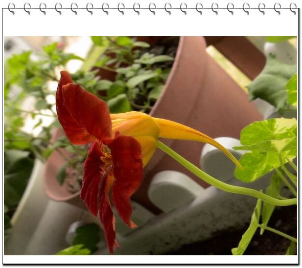 06��һЩ����--�۲�˹