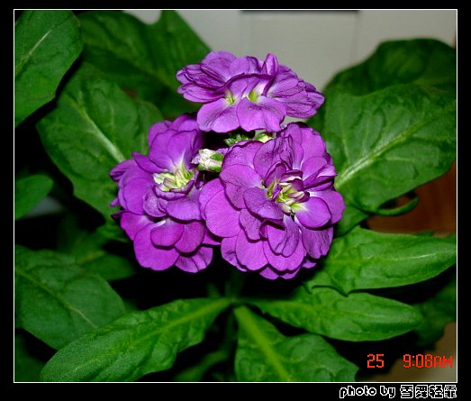 ��������������p2���£�