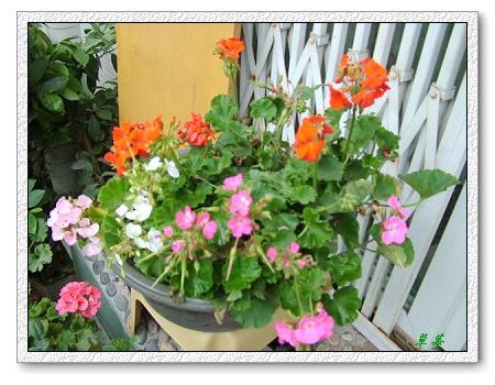 [ԭ��]���û���