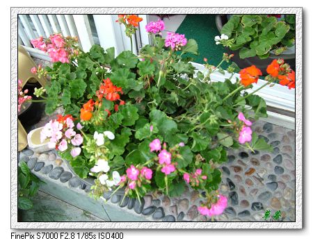 [ԭ��]���û���