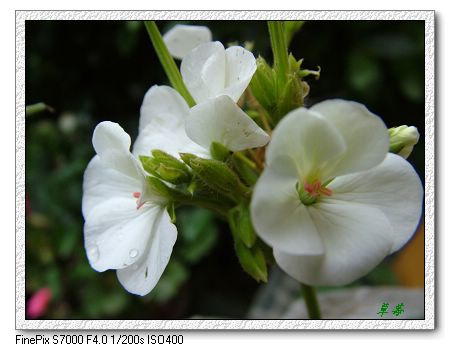 [ԭ��]���û���