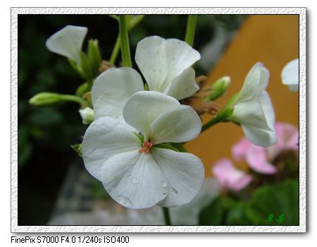 [ԭ��]���û���