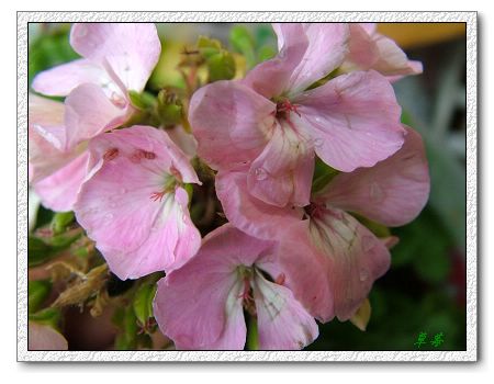 [ԭ��]���û���