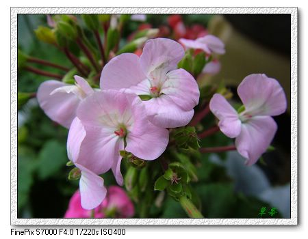 [ԭ��]���û���