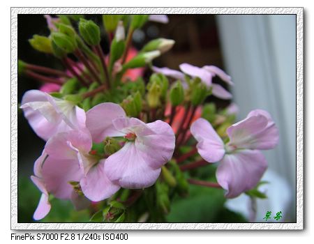 [ԭ��]���û���