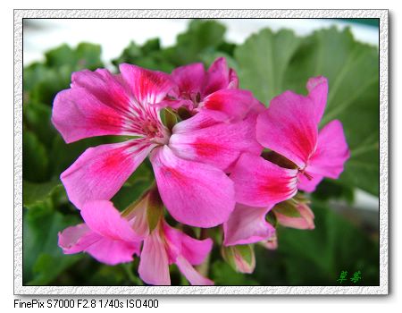 [ԭ��]���û���