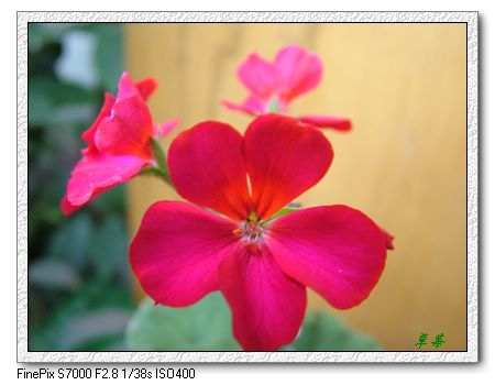 [ԭ��]���û���