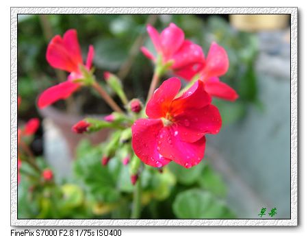 [ԭ��]���û���