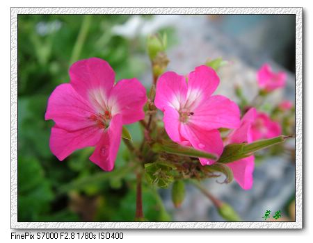 [ԭ��]���û���