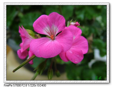 [ԭ��]���û���