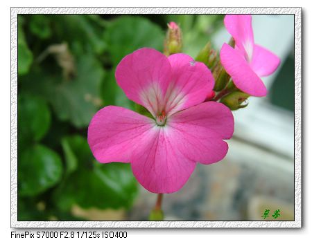 [ԭ��]���û���