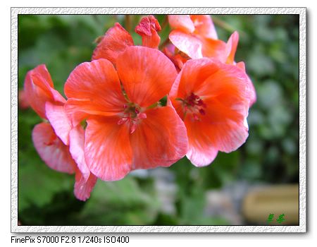 [ԭ��]���û���