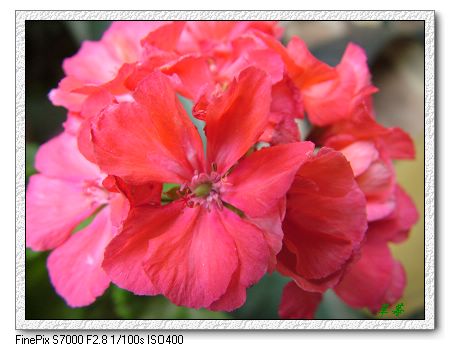 [ԭ��]���û���