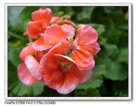 [ԭ��]���û���