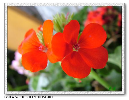 [ԭ��]���û���