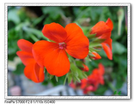 [ԭ��]���û���