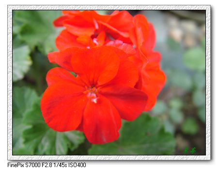 [ԭ��]���û���